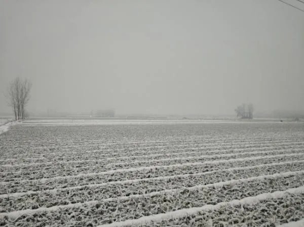 俗话说,“瑞雪兆丰年”是什么修辞手法