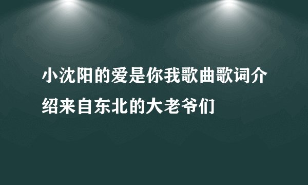 小沈阳的爱是你我歌曲歌词介绍来自东北的大老爷们