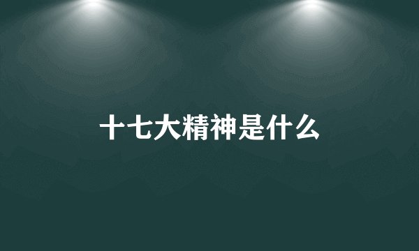 十七大精神是什么