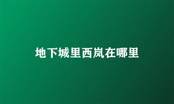 地下城里西岚在哪里