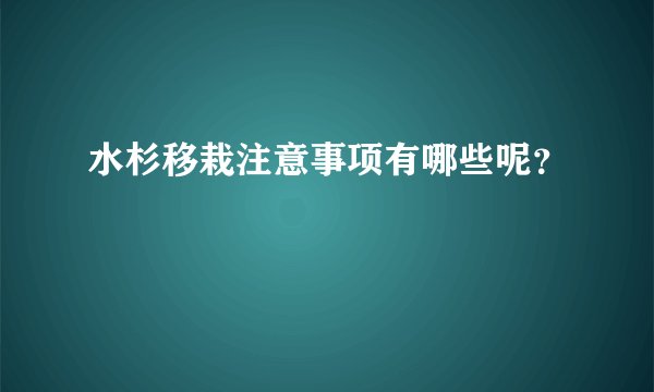 水杉移栽注意事项有哪些呢？