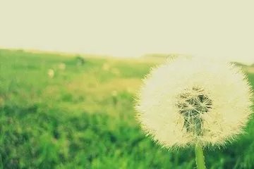 后进生的教育