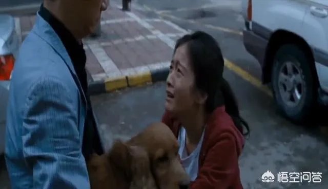 《狗十三》到底讲了什么?
