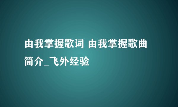 由我掌握歌词 由我掌握歌曲简介_飞外经验
