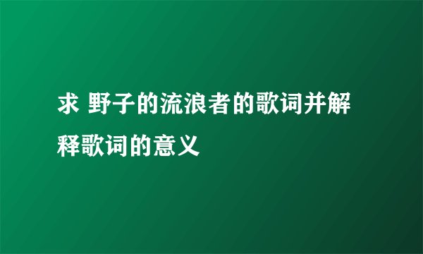 求 野子的流浪者的歌词并解释歌词的意义