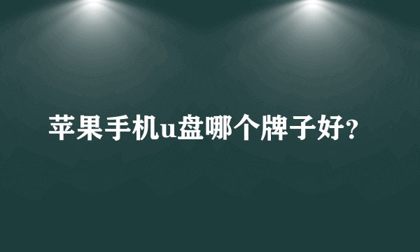 苹果手机u盘哪个牌子好？