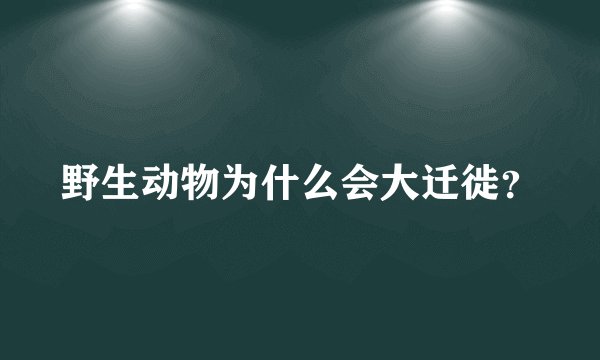 野生动物为什么会大迁徙？