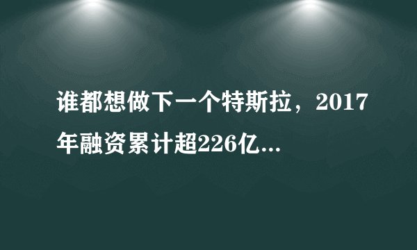 谁都想做下一个特斯拉，2017年融资累计超226亿元，能成功吗？