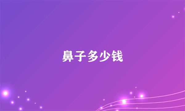 鼻子多少钱