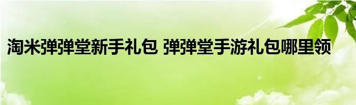 淘米弹弹堂新手礼包 弹弹堂手游礼包哪里领