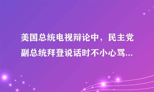 美国总统电视辩论中，民主党副总统拜登说话时不小心骂了奥巴马？后来民主党出来说明，这有用吗？