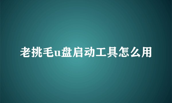 老挑毛u盘启动工具怎么用