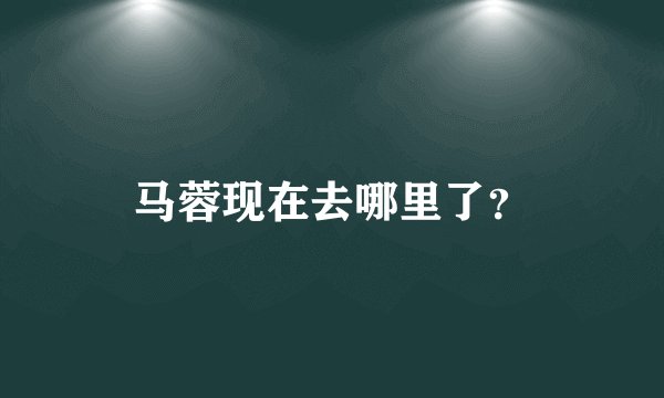 马蓉现在去哪里了？