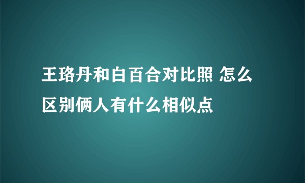 王珞丹和白百合对比照 怎么区别俩人有什么相似点