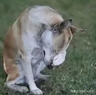 国足1:2输给叙利亚,自己踢进自己球门里,你是怎么看国足的?