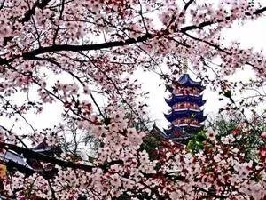 南京有哪些地方值得摄影师去拍照?