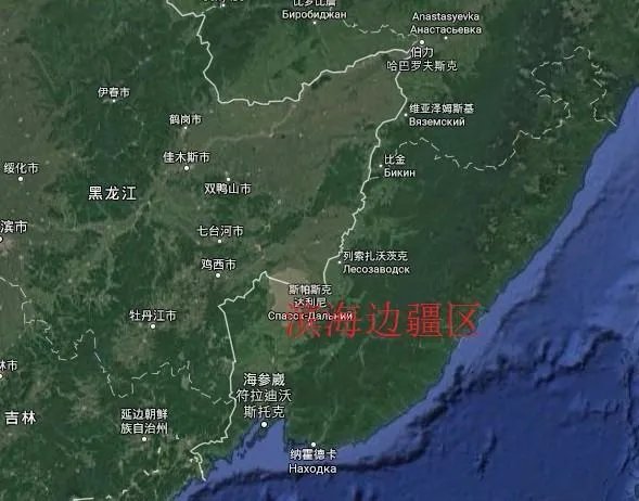 俄蜂蜜被禁入中国的原因是什么?
