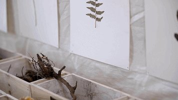 10w就装修出一幢别墅,然而自己却不敢住 | 妙屋集
