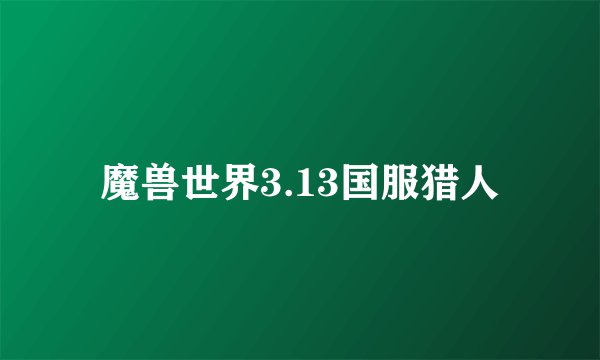 魔兽世界3.13国服猎人