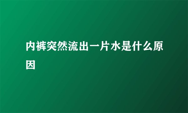 内裤突然流出一片水是什么原因
