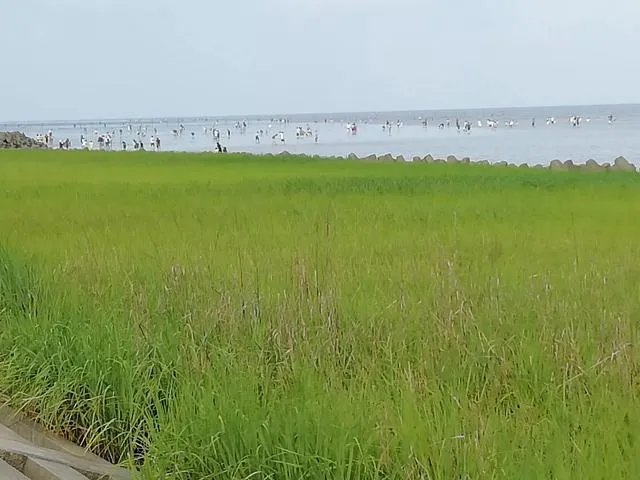 请问上海周边100公里左右自驾游有哪些景点推荐?