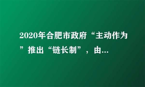 2020年合肥市政府“主动作为”推出“链长制”，由市级领导分别担任12个重点产业链“链长”，推动延链补链强链，围绕“芯屏汽合”“集终生智”高新技术战略性产业，补链延链强链，不断提升产业链稳定性和竞争力。2020年GDP实现10046亿元，合肥迈入万亿GDP俱乐部超预期增长的主要因素是（　　）