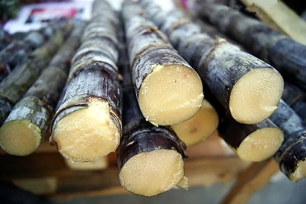 为什么很多水果店都不愿意卖甘蔗？