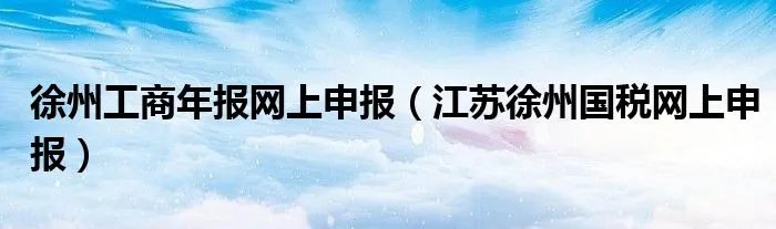徐州工商年报网上申报（江苏徐州国税网上申报）