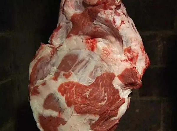 有人建议向美国学习,通过立法禁止国人吃狗肉,你支持或反对?