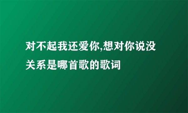 对不起我还爱你,想对你说没关系是哪首歌的歌词