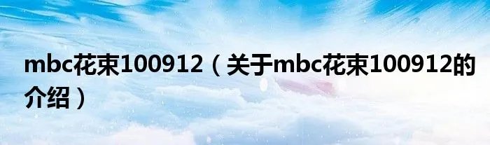 mbc花束100912（关于mbc花束100912的介绍）