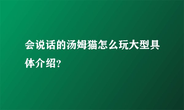 会说话的汤姆猫怎么玩大型具体介绍？