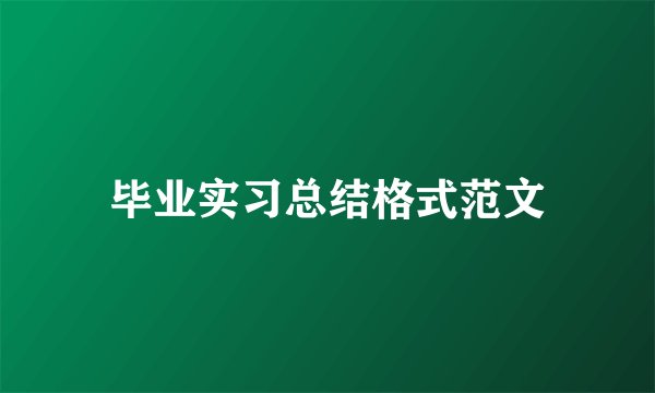 毕业实习总结格式范文