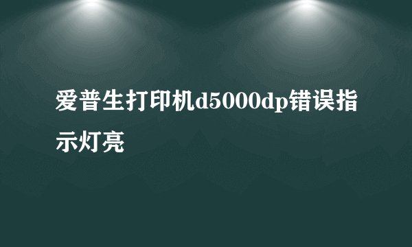 爱普生打印机d5000dp错误指示灯亮