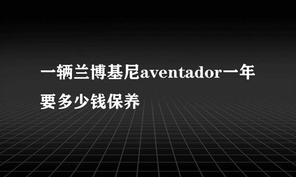 一辆兰博基尼aventador一年要多少钱保养