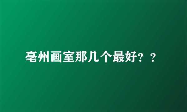 亳州画室那几个最好？？