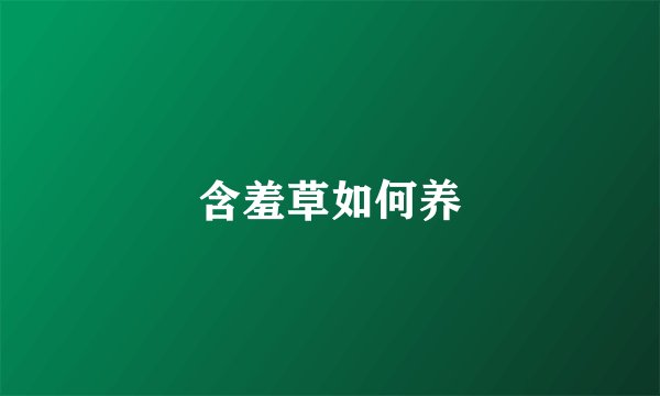 含羞草如何养