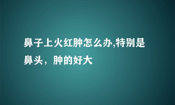 鼻子上火红肿怎么办,特别是鼻头，肿的好大
