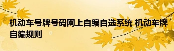 机动车号牌号码网上自编自选系统 机动车牌自编规则