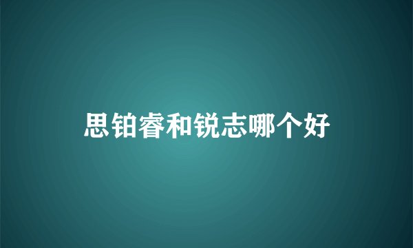 思铂睿和锐志哪个好