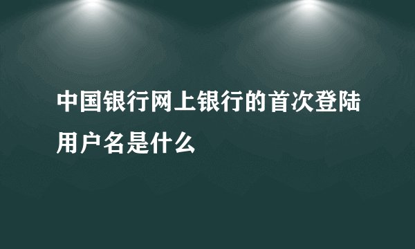 中国银行网上银行的首次登陆用户名是什么