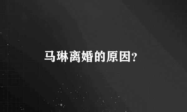 马琳离婚的原因?