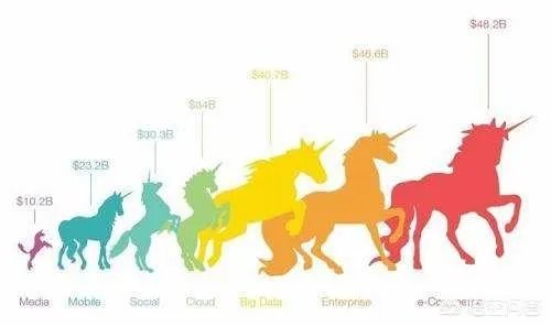 什么是独角兽企业?独角兽企业应具备哪些特征?