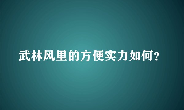 武林风里的方便实力如何？
