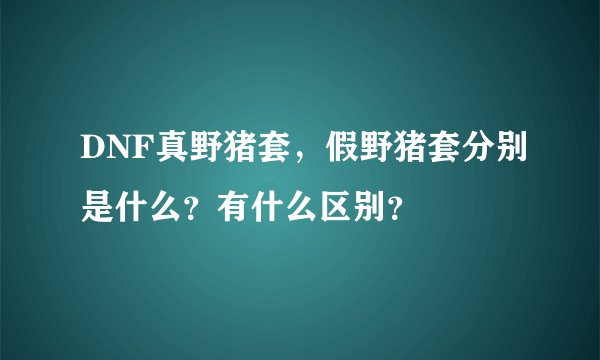 DNF真野猪套，假野猪套分别是什么？有什么区别？