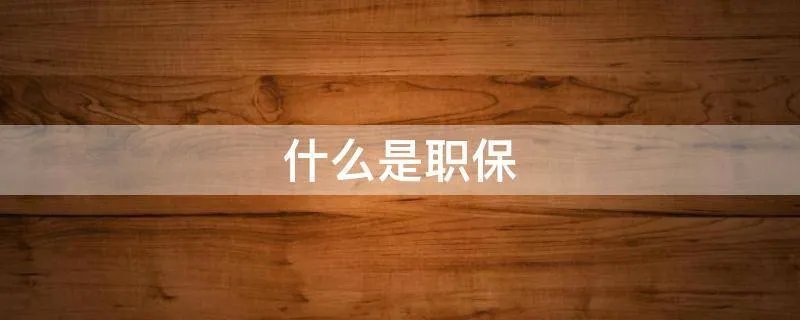 什么是职保