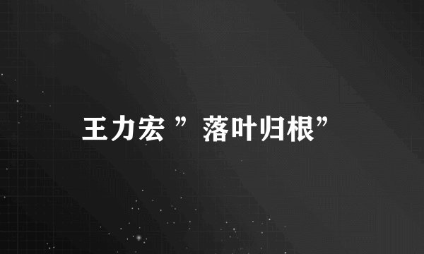 王力宏 ”落叶归根”