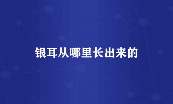 银耳从哪里长出来的