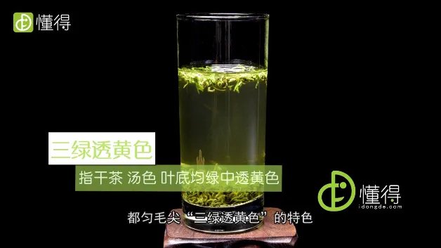 都匀毛尖是什么茶(图文)
