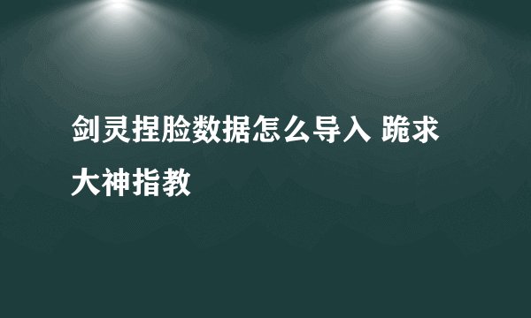 剑灵捏脸数据怎么导入 跪求大神指教